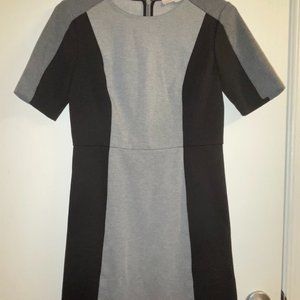 Loft Petite Dress